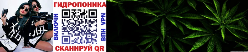 KRAKEN маркетплейс  Новохопёрск  Конопля план 